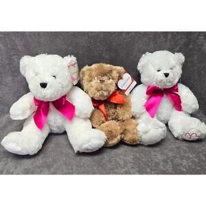 1800 Flowers Anico Lotsa Love Plush Teddy Bear Bundle Honee Bear CJ Sweet Honee
